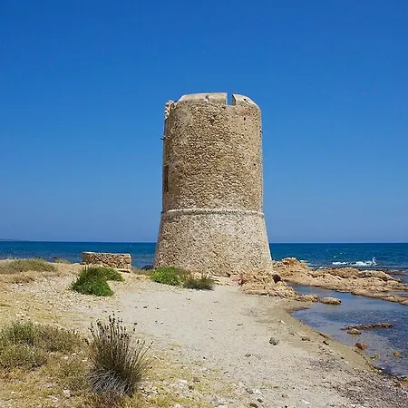 Dodostella